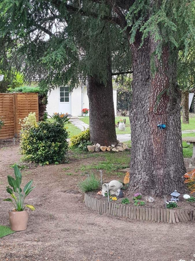 Frühstückspension Les Cedres Bleus Saint-Medard-de-Mussidan